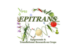 Plateforme EPITRANS